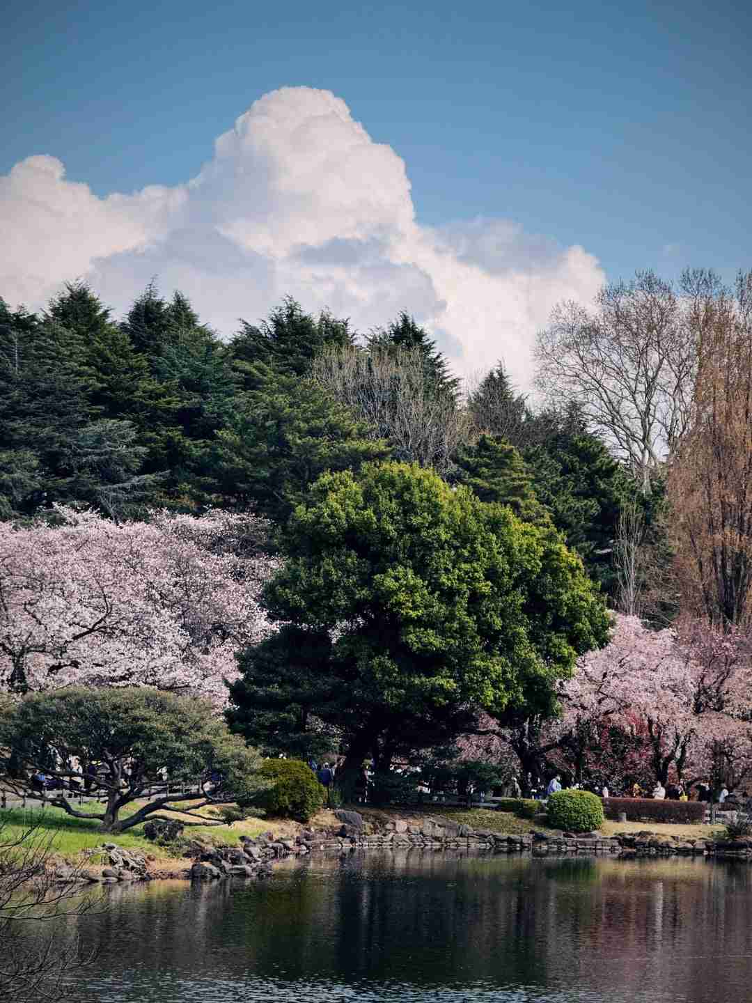 Shinjuku Gyoen National Garden