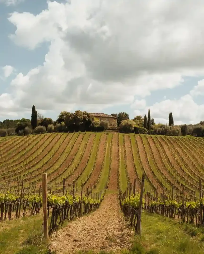 Geography of Tuscany / About Tuscany