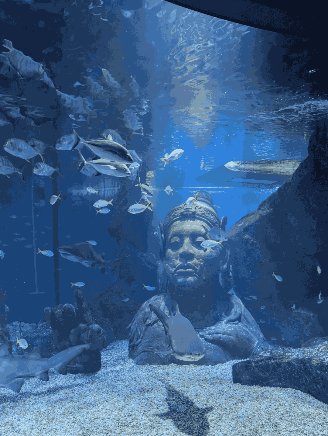 Sea Life Bangkok Ocean World